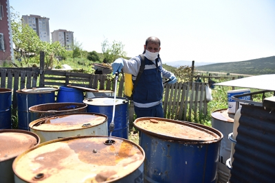 Çevre Dostu İlaçlama