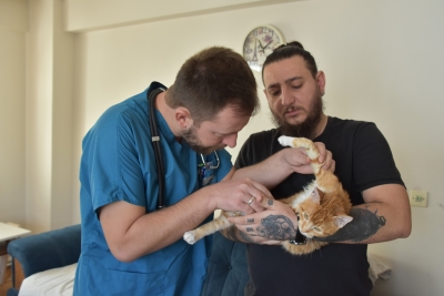 Demir Korkuluklara Saplanan Kedi Kurtarıldı